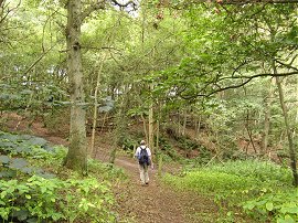 Tilburstowhill Common